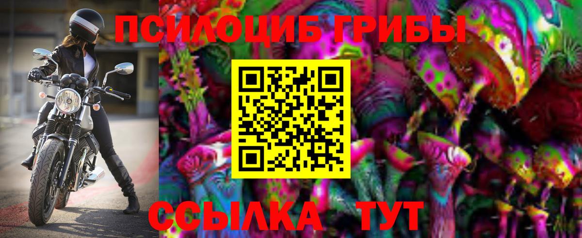 Галлюциногенные грибы MAGIC MUSHROOMS  Вход с VPN  Краснодар  Псилоцибиновые грибы ЛСД 