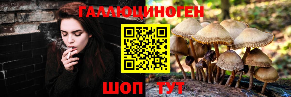 Псилоцибиновые грибы мицелий Краснодар